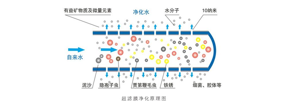 超濾膜凈化原理.jpg