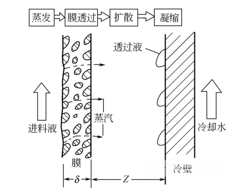 膜蒸餾法的分離原理_巴沃夫.png